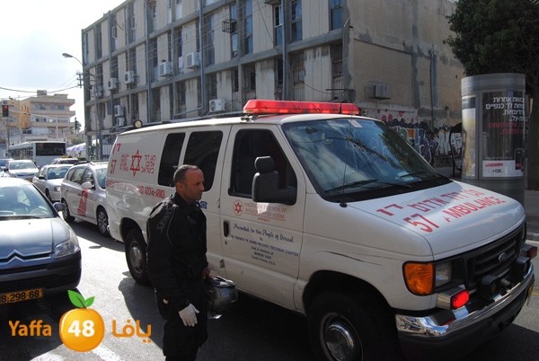 shejar sodaney 702 (7).JPG